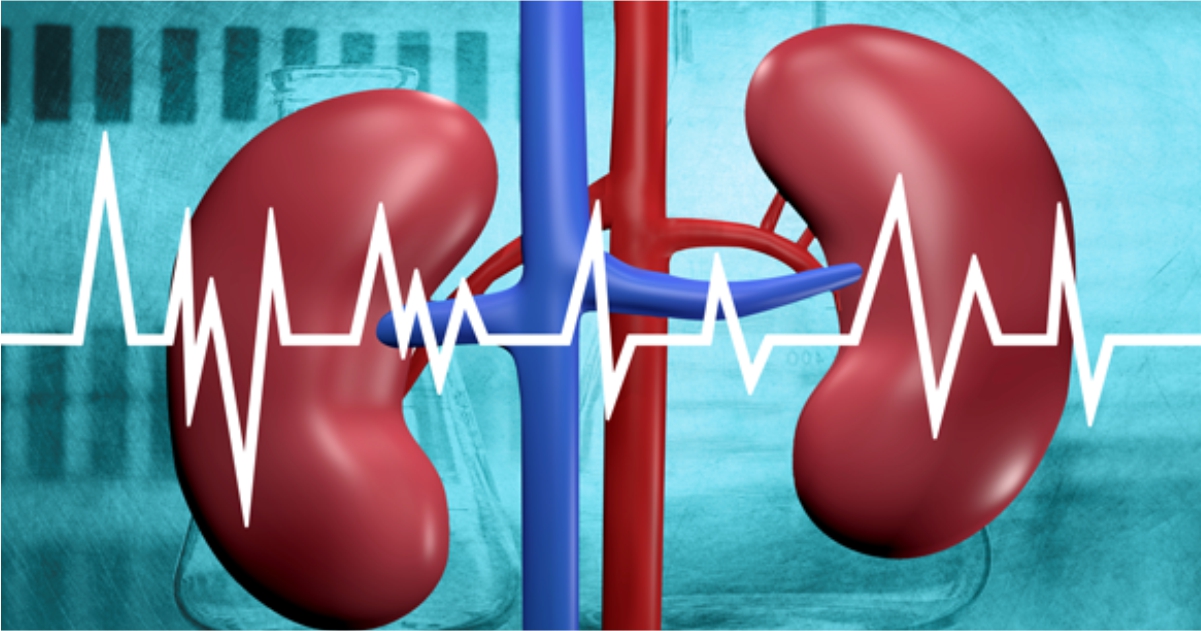 Renal Artery Stenosis Pathophysiology